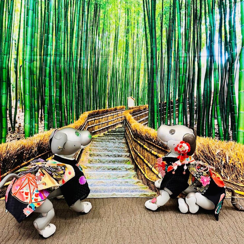 aibo 艶やかきもの：胡蝶と松（aiboちゃん用・ハンドメイドのお洋服