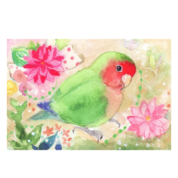 うちの子インコのイラスト（原画　鳥　インコ　オリジナル　水彩画） 6枚目の画像