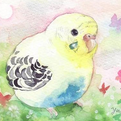 うちの子インコのイラスト（原画　鳥　インコ　オリジナル　水彩画） 1枚目の画像