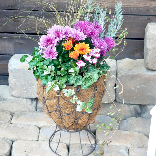 華やか お玄関やお祝いのギフトにも マウントオービスク オリガミ