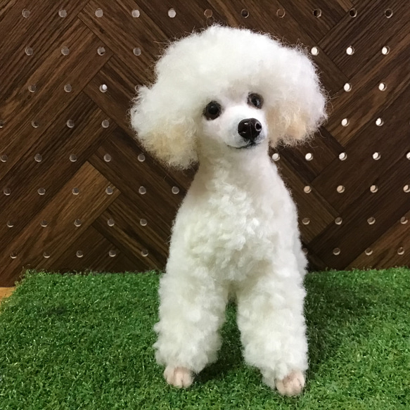 トイプーママ様 オーダーページ 10/14 可愛すぎるトイプードル