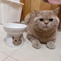 送料無料【オーダーメイド】うちの子・お名前入り・似顔絵 陶器製