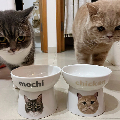 送料無料【オーダーメイド】うちの子・お名前入り・似顔絵 陶器