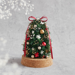 【今季完売】卓上ミニサイズのクリスマスツリー　(ガラスカバー付) ガラスドーム　クリスマスギフト2023 1枚目の画像
