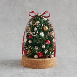 【今季完売】卓上ミニサイズのクリスマスツリー　(ガラスカバー付) ガラスドーム　クリスマスギフト2023 2枚目の画像