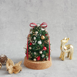 【今季完売】卓上ミニサイズのクリスマスツリー　(ガラスカバー付) ガラスドーム　クリスマスギフト2023 3枚目の画像