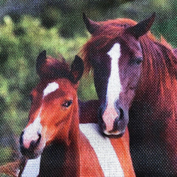 ハンドメイド ぺたんこBigトートバッグ 馬柄 親子 2枚目の画像