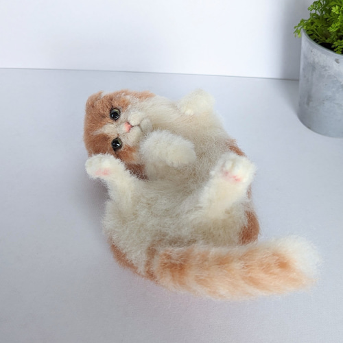 スコティッシュフォールド 羊毛フェルト ぬいぐるみ 猫 置き物