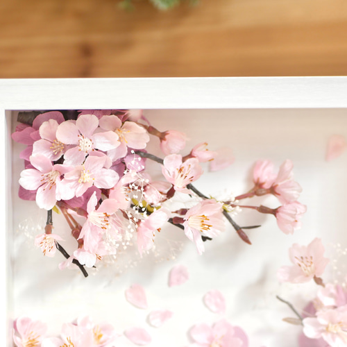 桜が咲く風景のフォトフレーム フォトフレーム・写真立て nozomi 桜が咲く風景のフォトフレーム フォトフレーム・写真立て nozomi