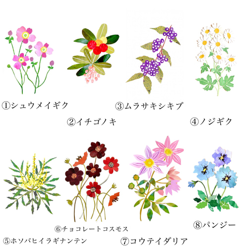 11月頃の花ポストカードセット ポストカード tomocollage 通販