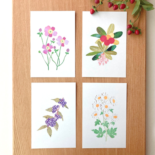 11月頃の花ポストカードセット ポストカード tomocollage 通販
