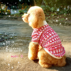 【犬服】ノルディック❢ フリル リブニット ワンピース & リブ Ｔシャツ 8枚目の画像
