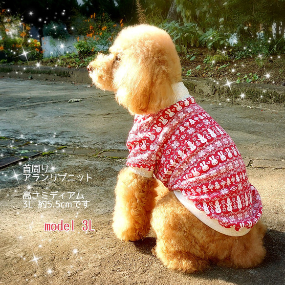 【犬服】ノルディック❢ フリル リブニット ワンピース & リブ Ｔシャツ 8枚目の画像