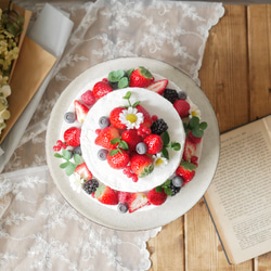 【受注制作】ベリーの クレイケーキ フェイクケーキ 3枚目の画像