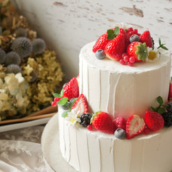 【受注制作】ベリーの クレイケーキ フェイクケーキ 2枚目の画像