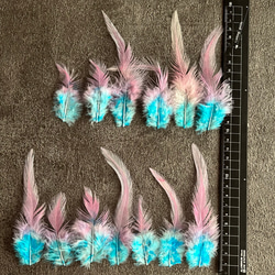 【23912】ピンクパープル×アクア 15枚 :羽根 フェザー 鳥 パーツ 材料 アクセサリー DIY 素材 5枚目の画像