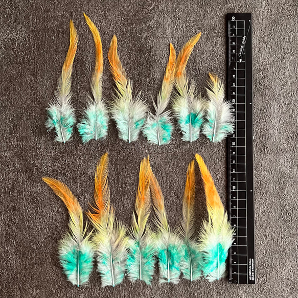 【23914】オレンジ×ライム×ミント 12枚 :羽根 フェザー 鳥 パーツ 材料 アクセサリー DIY 素材 3枚目の画像