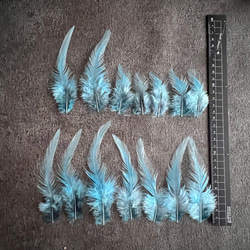 【23918】スカイ×夜空 14枚 :羽根 フェザー 鳥 パーツ 材料 アクセサリー DIY 素材 4枚目の画像