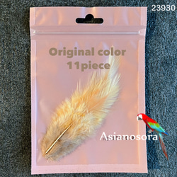 【23930】モカ×オニオン 11枚 :羽根 フェザー 鳥 パーツ 材料 アクセサリー DIY 素材 2枚目の画像