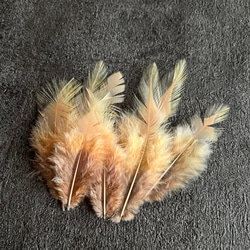 【23930】モカ×オニオン 11枚 :羽根 フェザー 鳥 パーツ 材料 アクセサリー DIY 素材 3枚目の画像