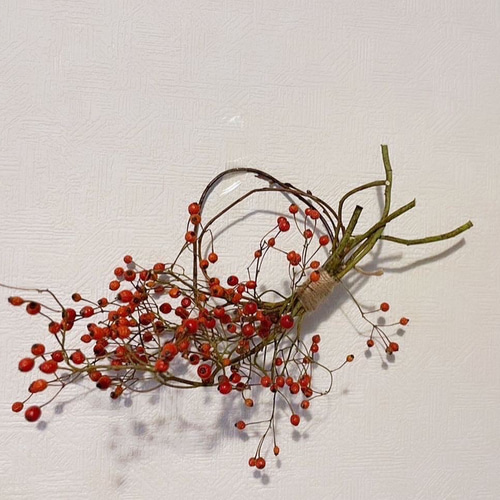 ドライフラワーꕤ︎︎赤いバラと木の実いっぱい Xmas リースꕤ壁飾り