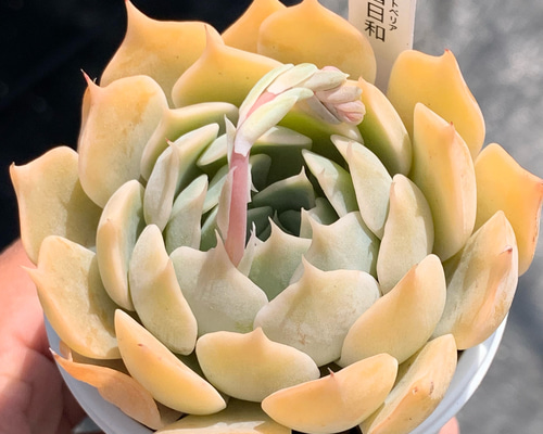 46bb34deecfdc2af08b0877f8559f0