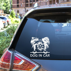 カッティングステッカー DOG IN CAR パピヨン 3枚目の画像