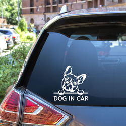 カッティングステッカー DOG IN CAR フレンチブルドッグ2 フレブル 3枚目の画像