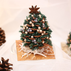 まつぼっくりツリー＊ ミニサイズ（ドライ・プリザーブドフラワー