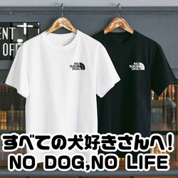 ★激レア★釣りTシャツ ブラックバス　グレー　XLサイズ ⑩ 送料無料 釣り シーバス ブラックバス ルアー 釣りバカ 釣り