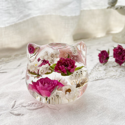 a7f816023d8994aad3290e125987ee