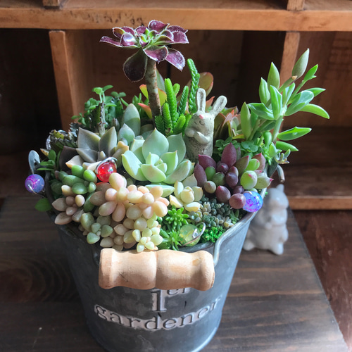 再々…販＊『ココニイルヨ＊うさきちver.』 多肉植物 寄せ植え＊箱庭 