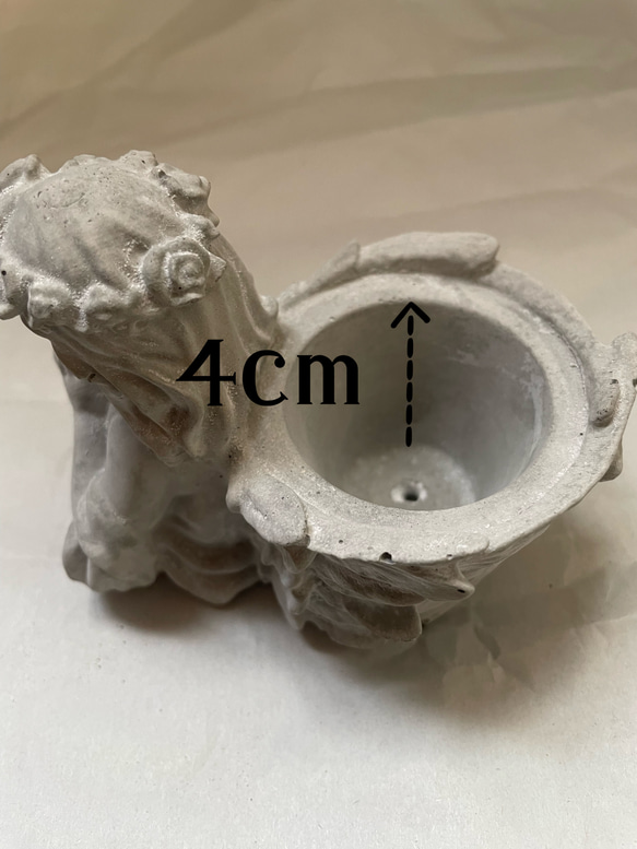  第10張的照片