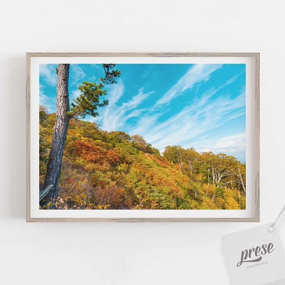秋の絶景 山々が鮮やかな紅葉で彩られ、澄んだ青空が背景。大自然の美しさと季節の移ろいを感じる風景ポスター 1枚目の画像