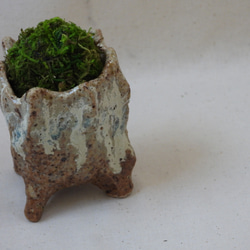 小さな陶製植木鉢 12枚目の画像