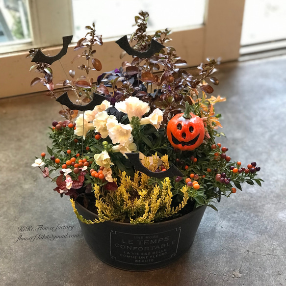 特価品‼︎限定1点☆ハロウィン寄せ植えCreema限定販売 その他