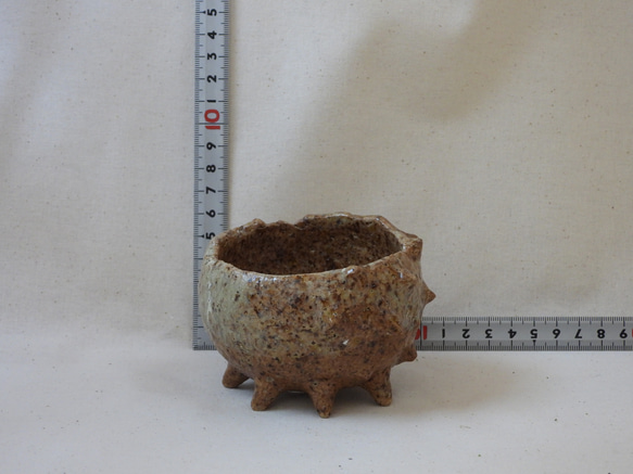 (棘)ナチュラルカラー陶製植木鉢 15枚目の画像