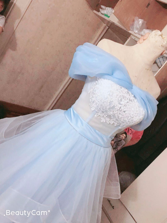シンデレラ風の袖のウェディング オーバードレス  ウエディングドレス用スカート 3枚目の画像