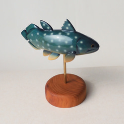 腔棘魚（木、雕像、古魚）腔棘魚/古魚/木動物 第2張的照片