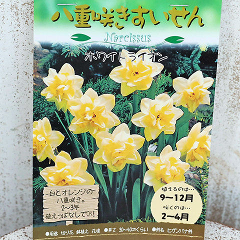 丹木の歳時記2025 皐月（一） :: 創価大学
