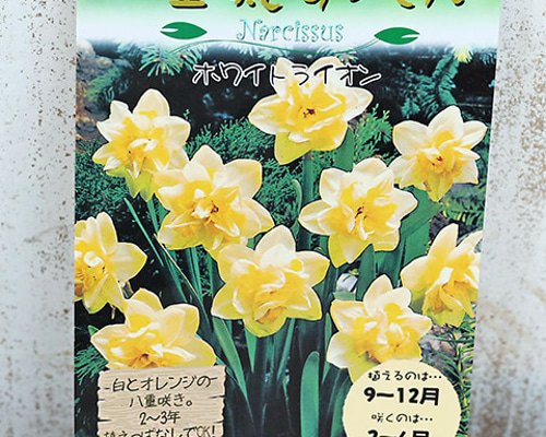 817e6adf8727bf3da84a56366dc063