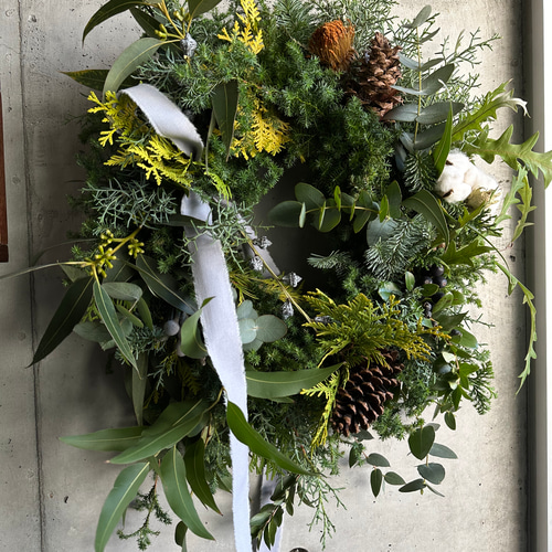 大人シックなハボタンリース 園芸】シックな葉牡丹を使ったコンパクト