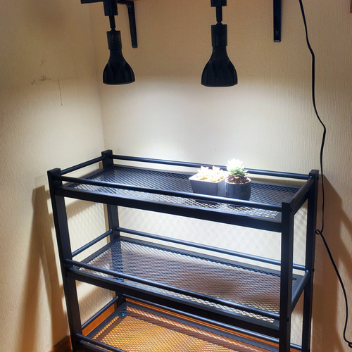 植物棚 アイアン 植物育成 塊根植物 多肉植物 男前