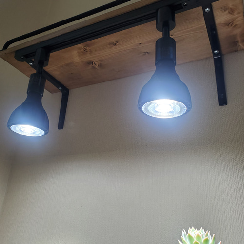 【かごつき】男前インテリア　棚　２台　植物　多肉植物　インダストリアル 1028 かごつき】男前インテリア 棚 2台 植物 多肉植物 インダストリアル