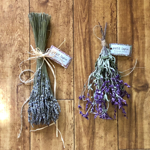 ローズマリーとアメジストセージとミモザの葉のドライフラワーリース❁⃘*.゜ ローズマリーとアメジストセージとミモザの葉のドライフラワーリース