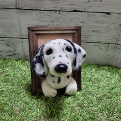 羊毛フェルト 犬　 ダルメシアン　フレーム　 愛犬 ぬいぐるみ 　うちの子　 ペット　オーダー　リアル　人形 5枚目の画像