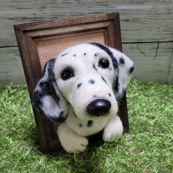 羊毛フェルト 犬　 ダルメシアン　フレーム　 愛犬 ぬいぐるみ 　うちの子　 ペット　オーダー　リアル　人形 6枚目の画像