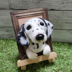 羊毛フェルト 犬　 ダルメシアン　フレーム　 愛犬 ぬいぐるみ 　うちの子　 ペット　オーダー　リアル　人形 1枚目の画像