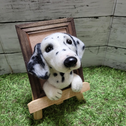羊毛フェルト 犬　 ダルメシアン　フレーム　 愛犬 ぬいぐるみ 　うちの子　 ペット　オーダー　リアル　人形 2枚目の画像