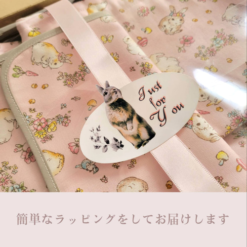 ミルキーラビット　うさぎ　オーダーページ　レッスンバック　3点セット　入園入学 ミルキーラビット うさぎ オーダーページ レッスンバック 3点